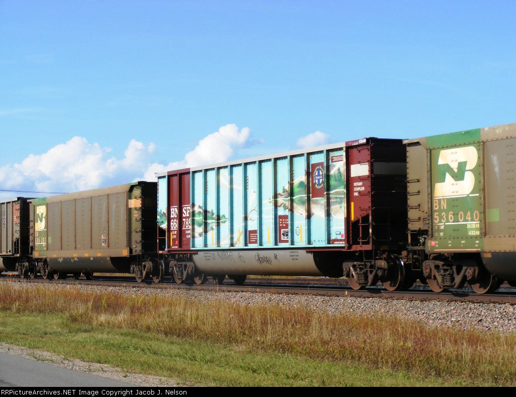 Whale Car! (Opposite Side)